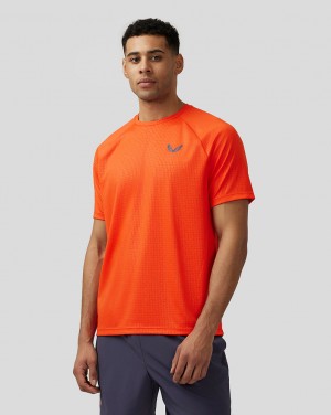 Castore Adapt Short Sleeve Printed T Shirt πορτοκαλι | 210BOGMSE