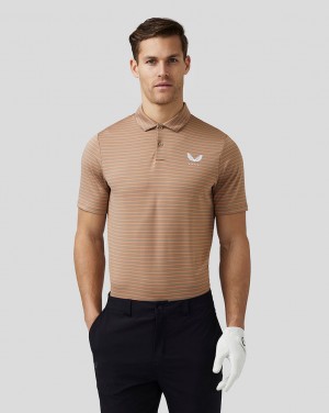 Castore Golf Yarn Dye Stripe Polo Clay | 157YIMDQL